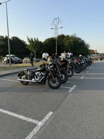 Custom baggers lined along a French mountain road at dusk